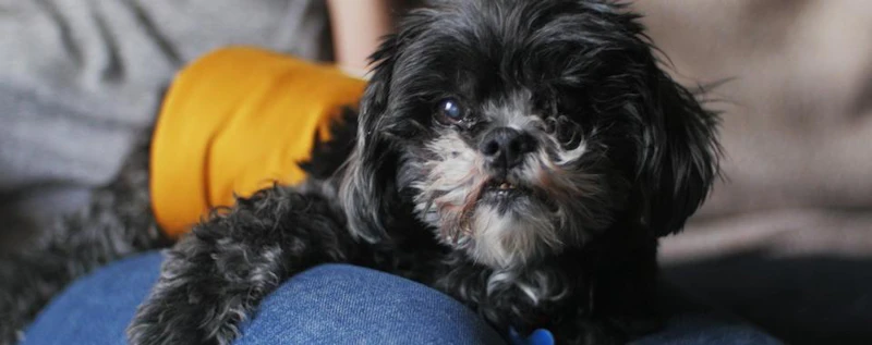 Norman Norman — production still