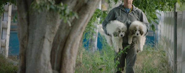 The Biggest Little Farm