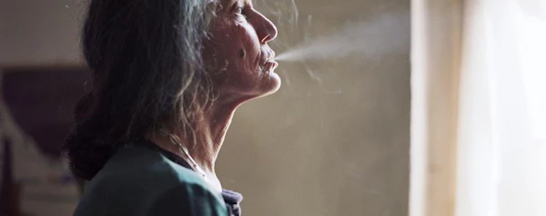 Disappearance Of My Mother, The