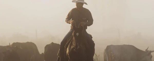 Cowboys & Scientists