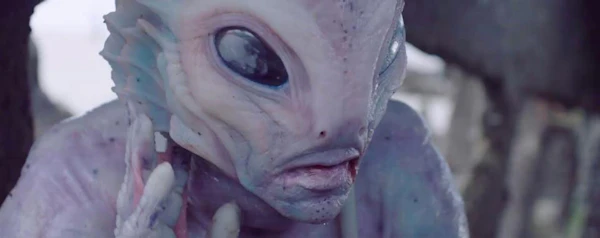 Midnight Shorts Block