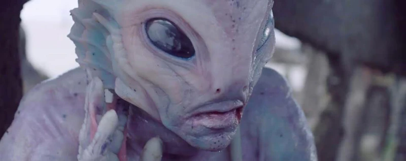 Midnight Shorts Block — production still