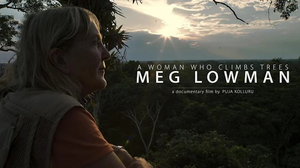 A Woman Who Climbs Trees