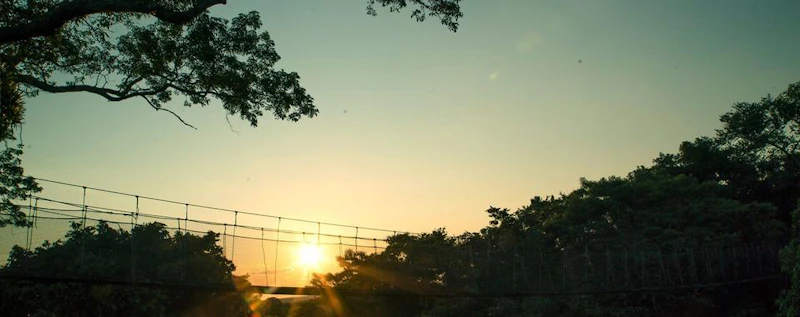 A Woman Who Climbs Trees — production still