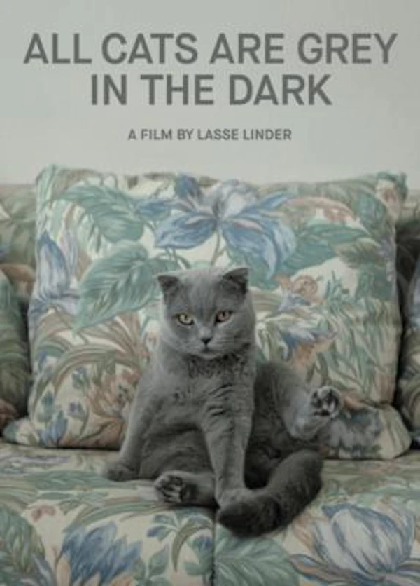All Cats Are Grey In The Dark