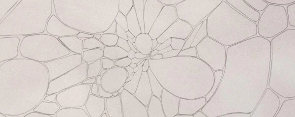 Intermission Expedition