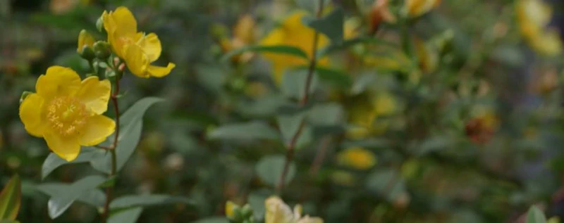 Into The Light — production still