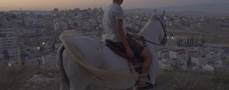 Stallions — production still