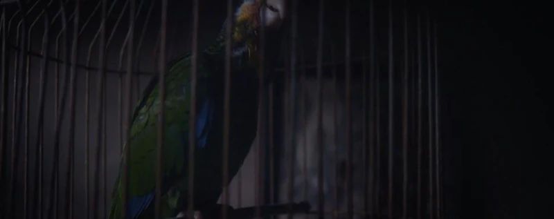 The Artisan — production still