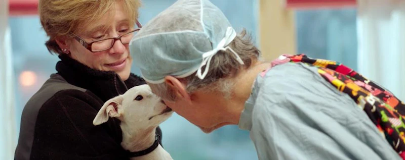 The Dog Doc — production still