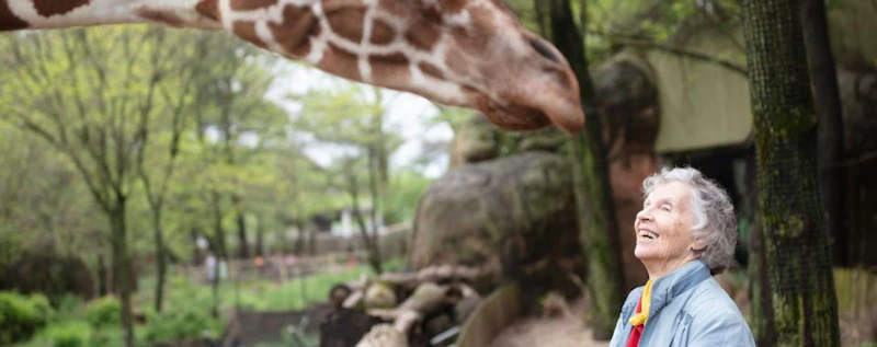 The Woman Who Loves Giraffes — production still