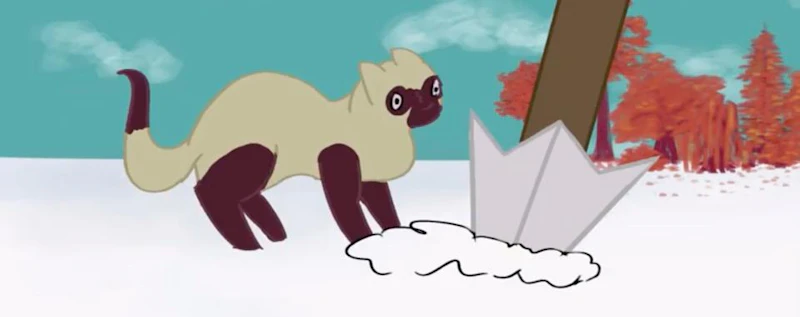 Animal Anthology — production still