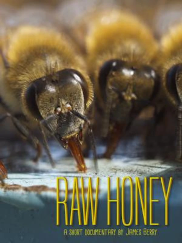 Raw Honey