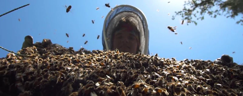 Raw Honey — production still