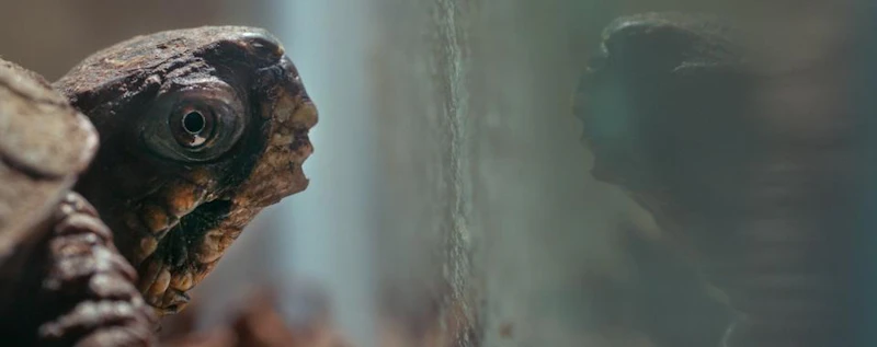 Snowy — production still