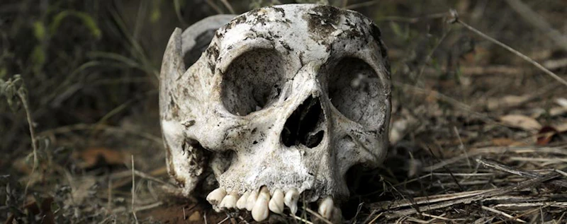 Missing In Brooks County — production still