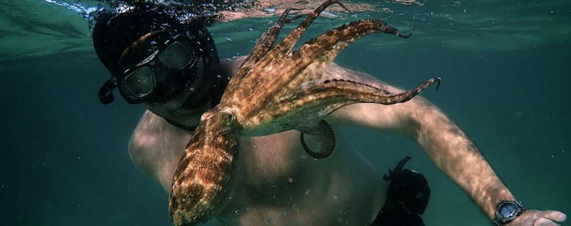 My Octopus Teacher — production still