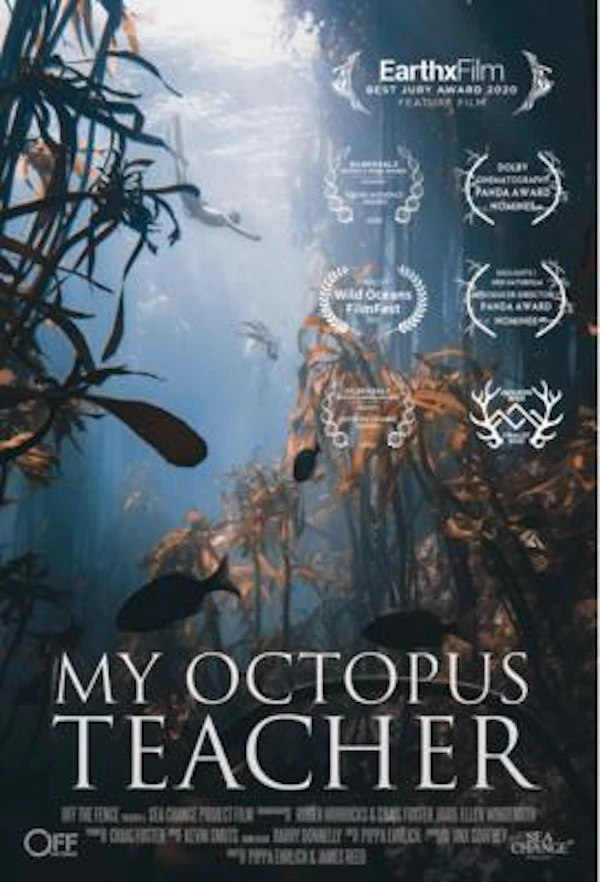 My Octopus Teacher