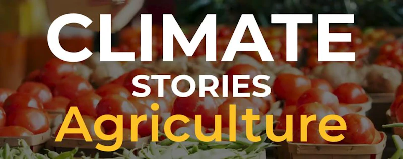 Climate Stories: Agriculture — production still