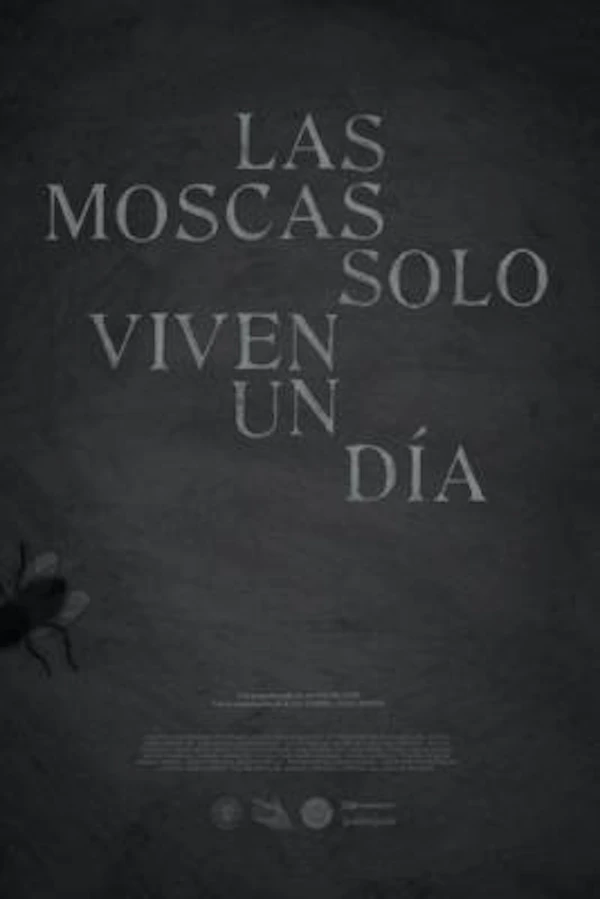 Flies only live one day