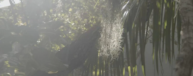 Good Things Will Come / No Hay Mal Que Por Bien No Venga — production still