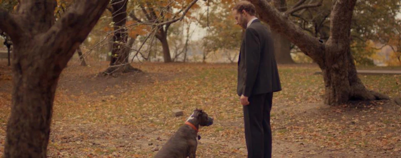 It's a Dog — production still