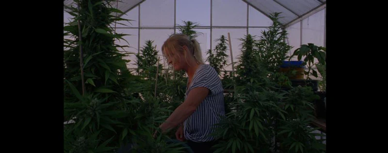 Somewhere Higher — production still