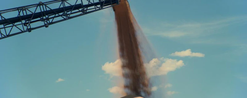 The Wheat Harvest — production still