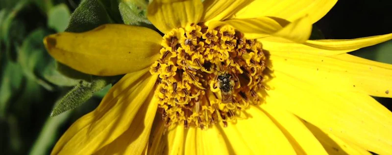 Pagosa Is My Name — production still