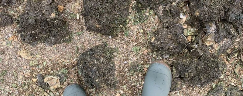 Unfiltered: The Truth About Oysters — production still