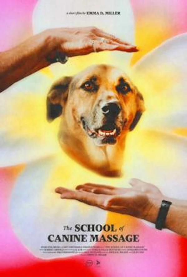 The School of Canine Massage