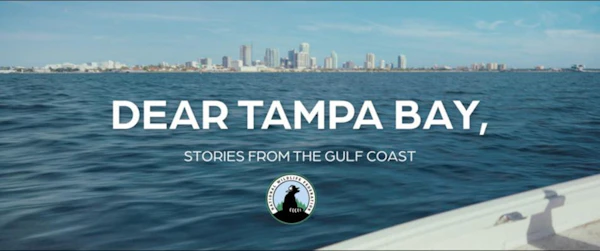 Dear Tampa Bay