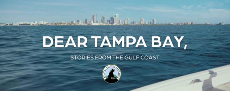Dear Tampa Bay — production still