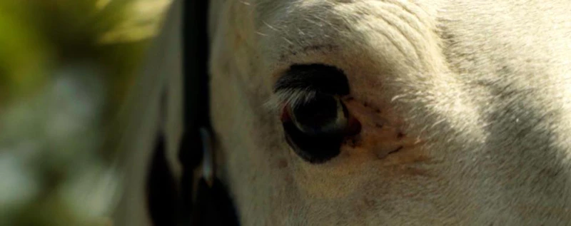 Connections — production still