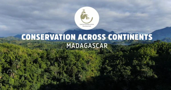 Conservation Across Continents : Madagascar