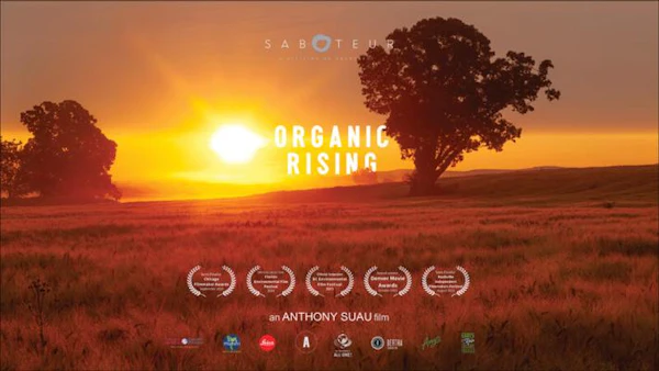 Organic Rising
