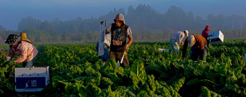 Organic Rising — production still