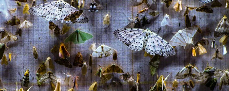 Nocturnes — production still