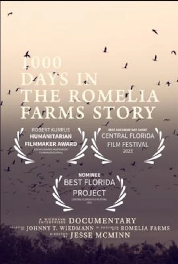 1000 Days In: The Romelia Farms Story