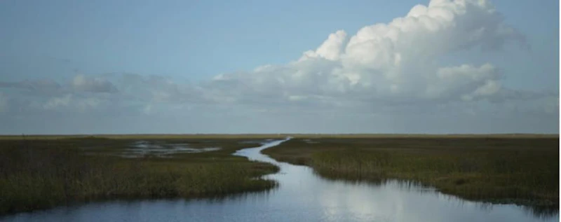 River of Grass — production still